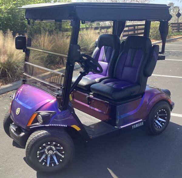 2019 Yamaha Drive2