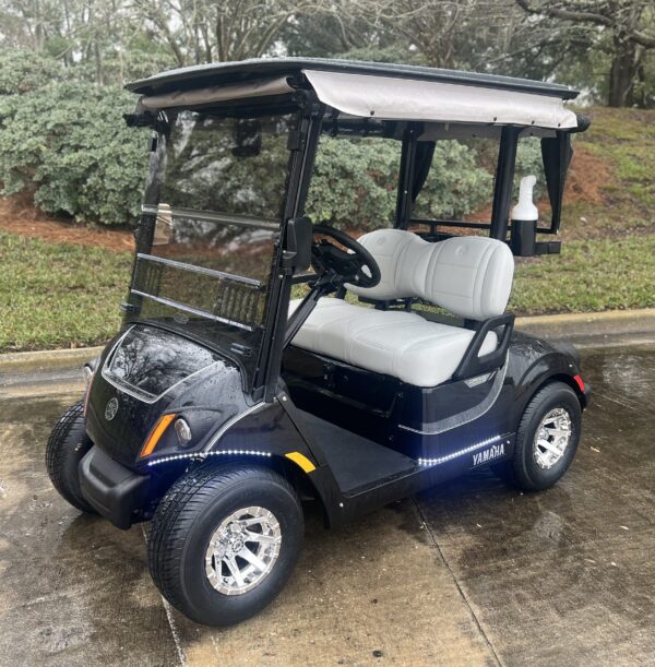 2024 Yamaha Drive2