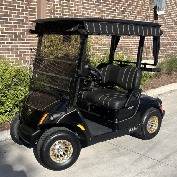 2019 Yamaha Drive2