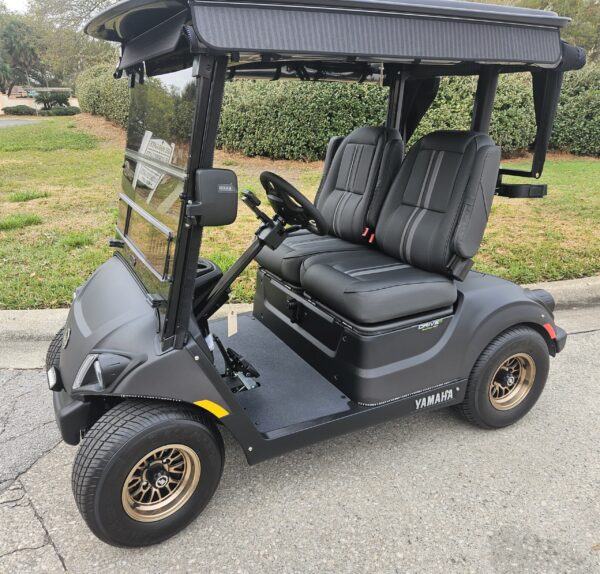 2024 Yamaha Drive2