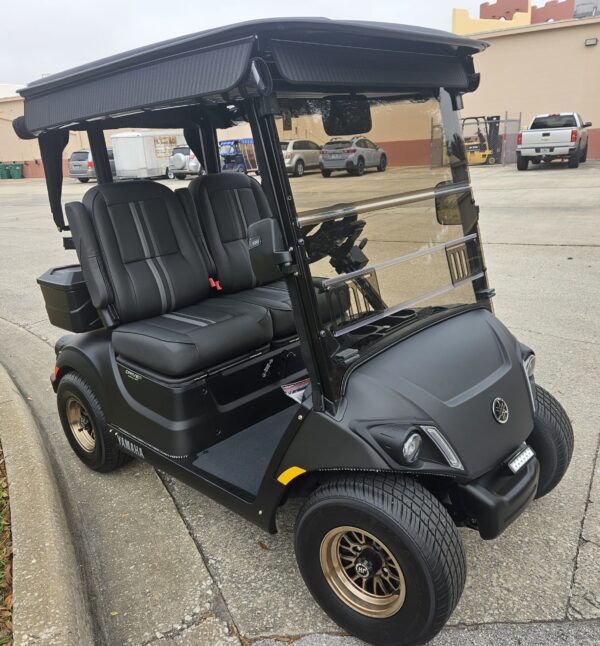 2024 Yamaha Drive2 - Image 2