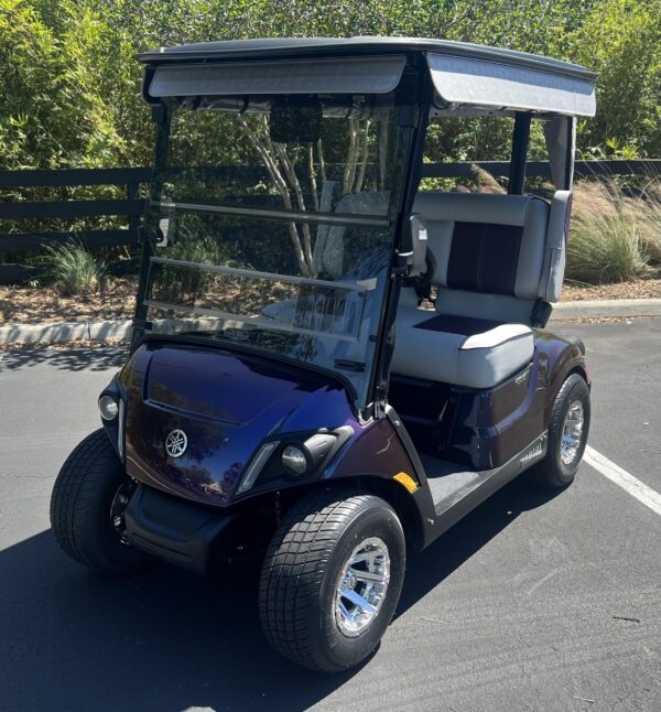 2024 Yamaha Drive2