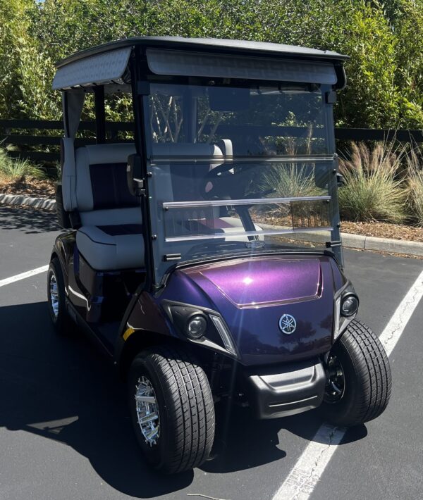 2024 Yamaha Drive2 - Image 2