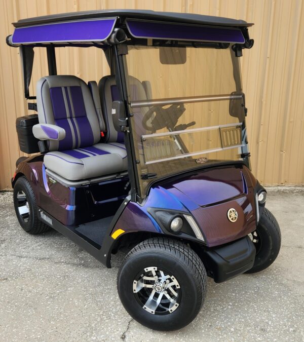 2024 Yamaha Drive2