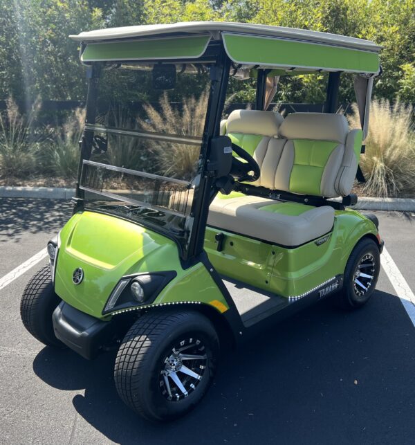 2024 Yamaha Drive2