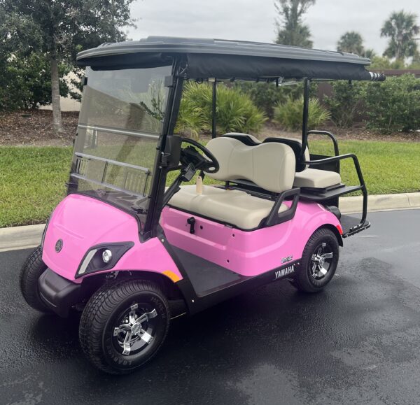 2022 Yamaha Drive2
