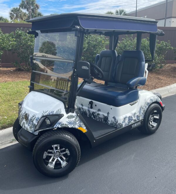 2024 Yamaha Drive2
