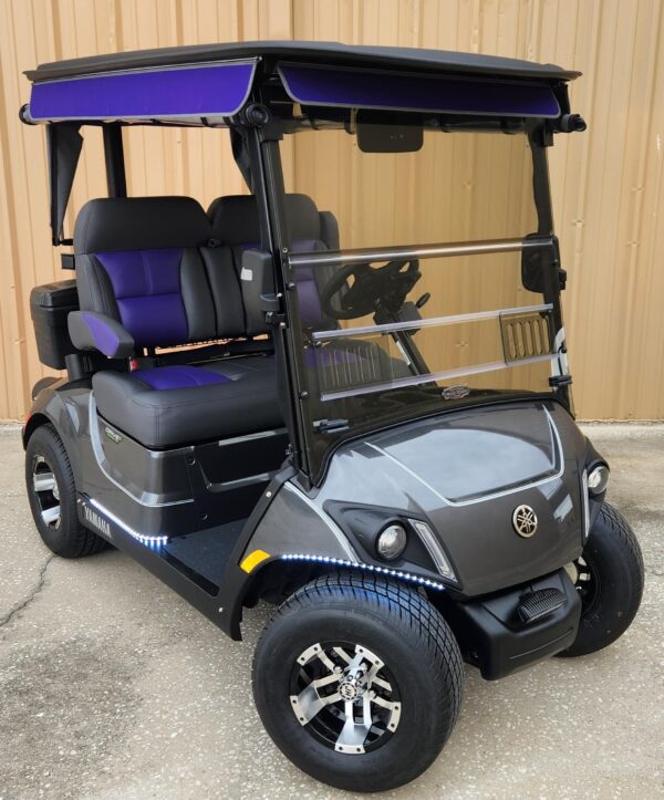 2024 Yamaha Drive2