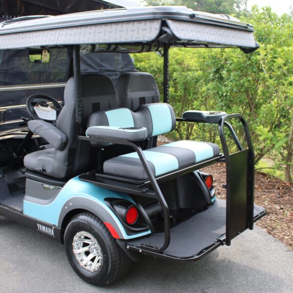 2024 Yamaha Drive2 - Image 2