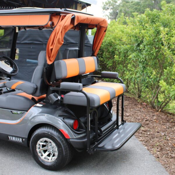 2024 Yamaha Drive2 - Image 2