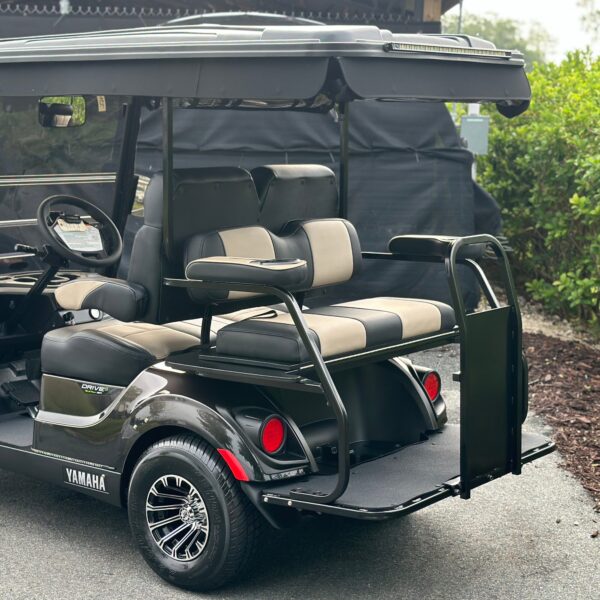2024 Yamaha Drive2 - Image 2