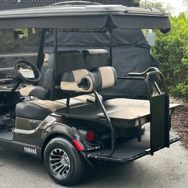 2024 Yamaha Drive2 - Image 3