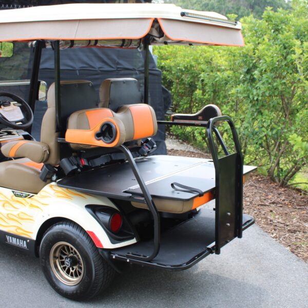 2024 Yamaha Drive2 - Image 3