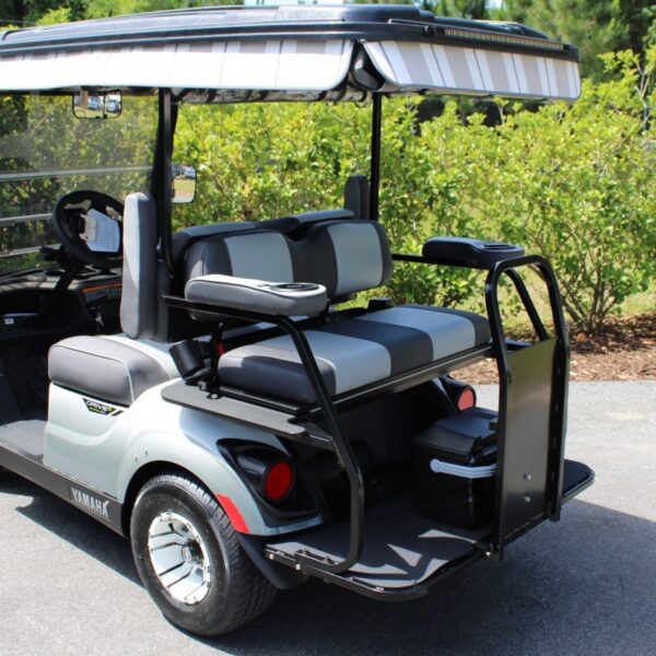 2024 Yamaha Drive2 - Image 2