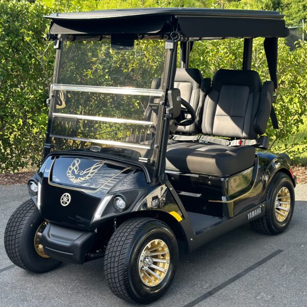 2024 Yamaha Drive2