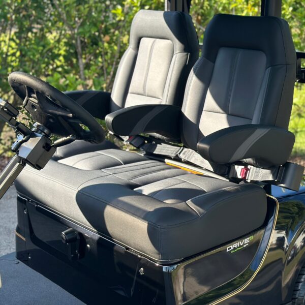 2024 Yamaha Drive2 - Image 2