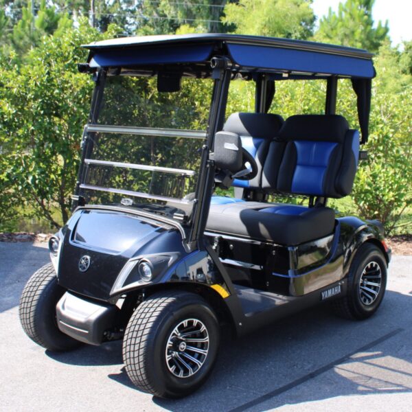 2024 Yamaha Drive2