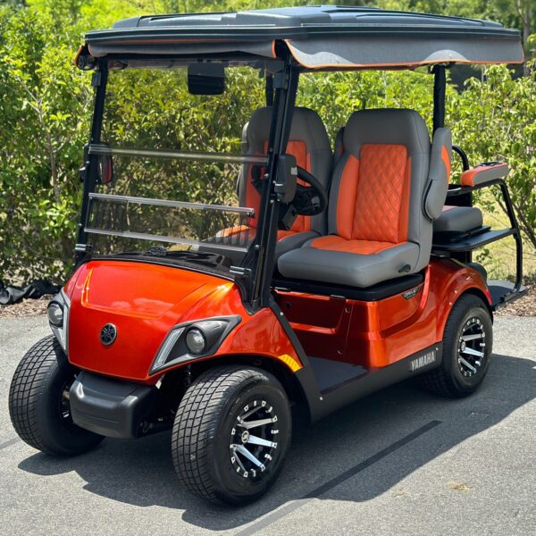 2024 Yamaha Drive2