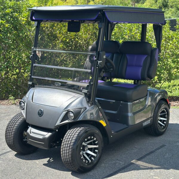 2024 Yamaha Drive2