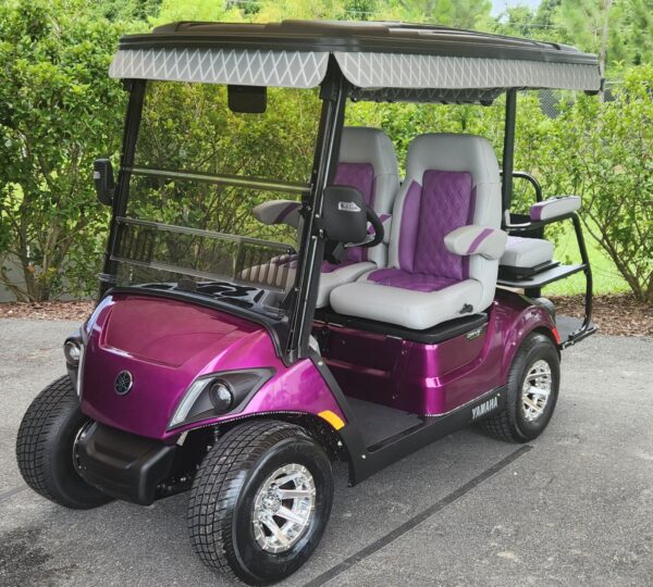 2024 Yamaha Drive2
