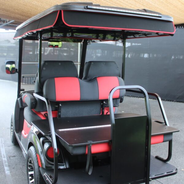2022 Yamaha Drive2 - Image 4