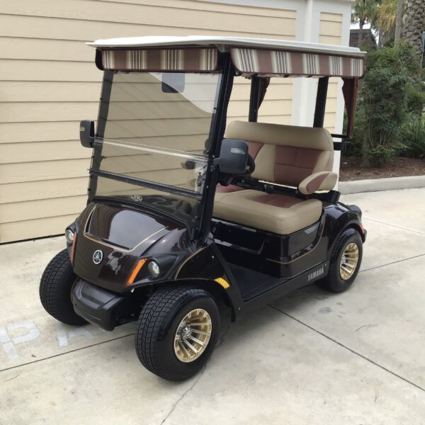 2019 Yamaha Drive2