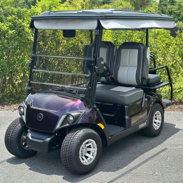 2024 Yamaha Drive2