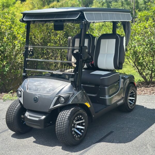2024 Yamaha Drive2