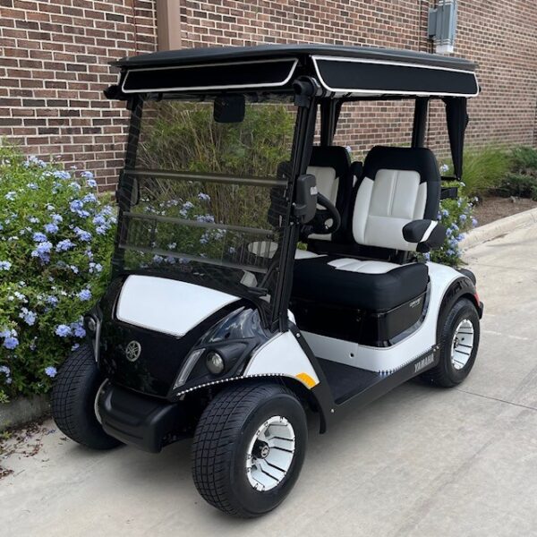 2022 Yamaha Drive2