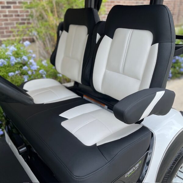 2022 Yamaha Drive2 - Image 2
