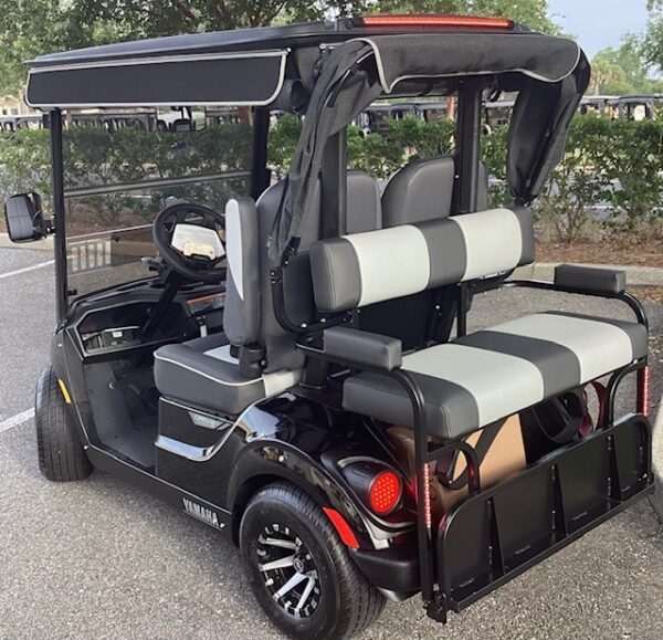 2024 Yamaha Drive2 - Image 2