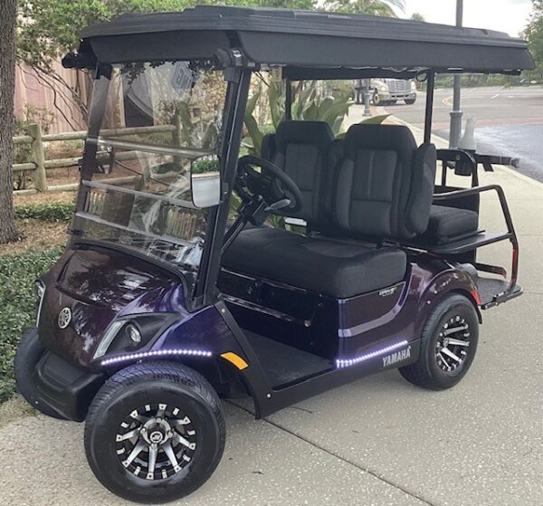 2024 Yamaha Drive2