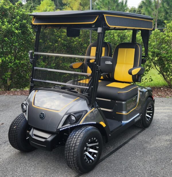 2024 Yamaha Drive2