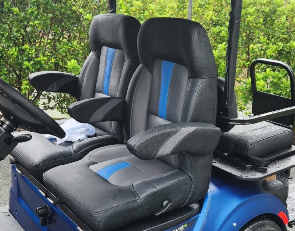 2024 Yamaha Drive2 - Image 2