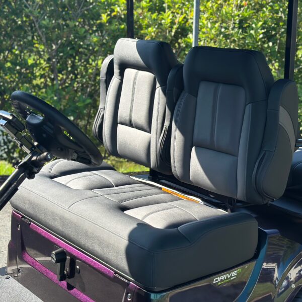 2024 Yamaha Drive2 - Image 2
