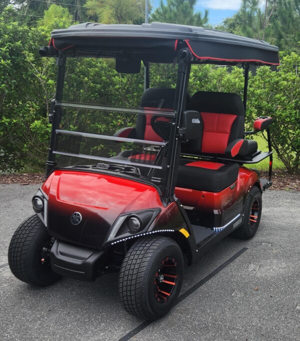 2024 Yamaha Drive2