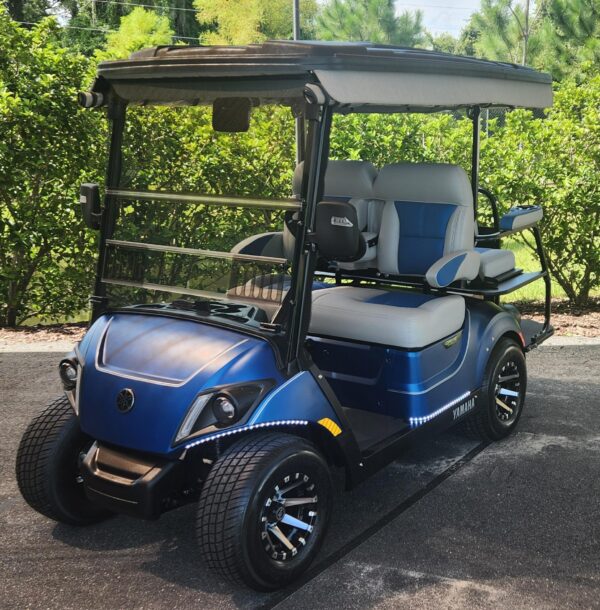 2024 Yamaha Drive2