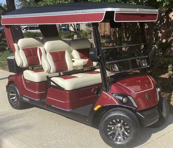2022 Yamaha Drive2 - Image 3