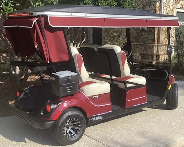 2022 Yamaha Drive2 - Image 4