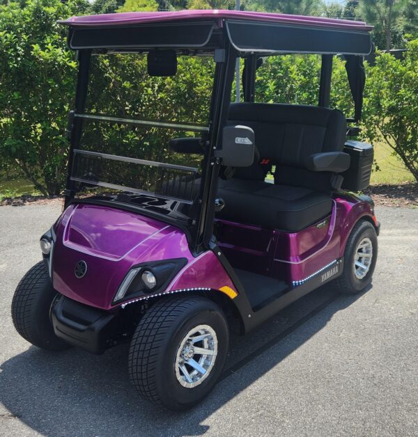 2024 Yamaha Drive2