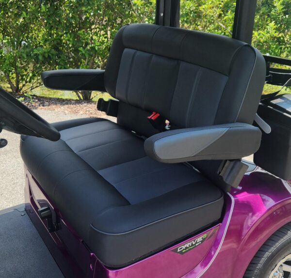 2024 Yamaha Drive2 - Image 2