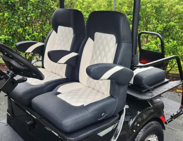 2024 Yamaha Drive2 - Image 2