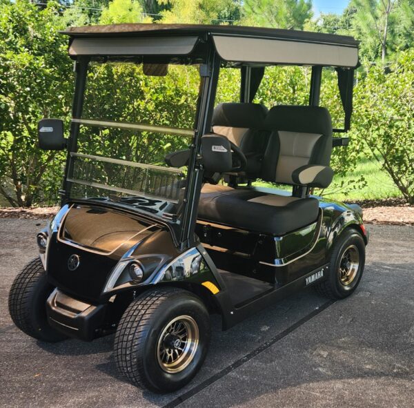 2024 Yamaha Drive2