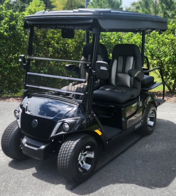 2024 Yamaha Drive2