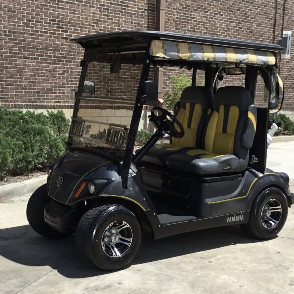 2017 Yamaha Drive2