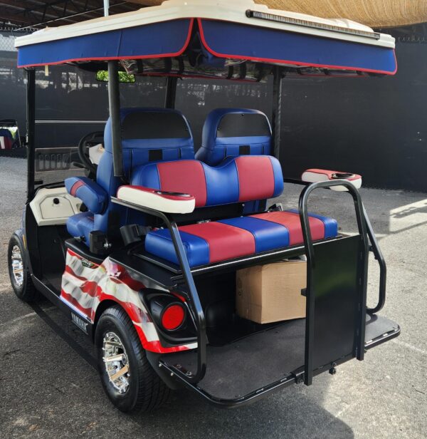 2024 Yamaha Drive2 - Image 3