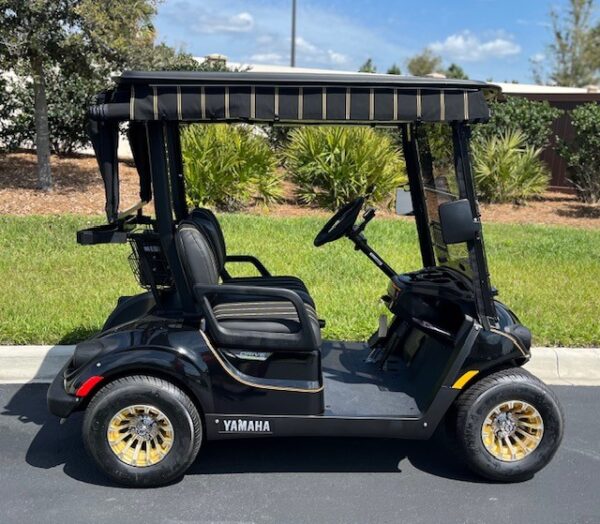 2024 Yamaha Drive2 - Image 4