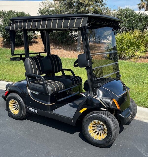 2024 Yamaha Drive2 - Image 3