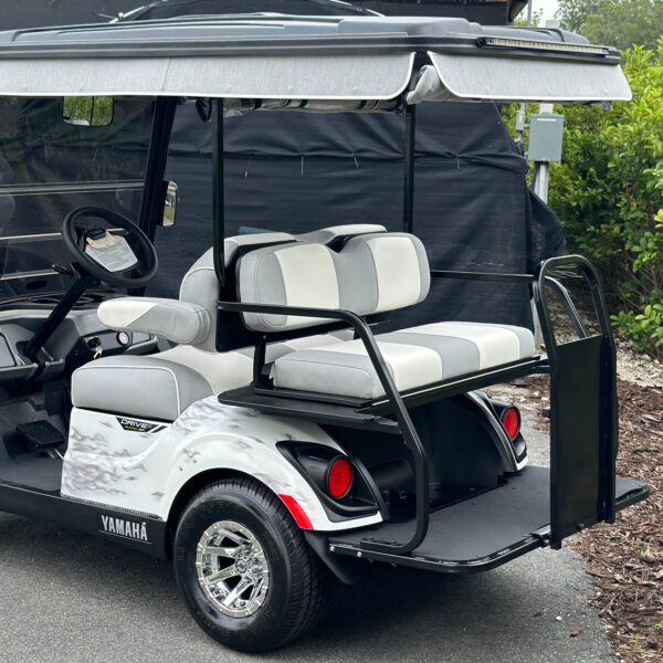 2024 Yamaha Drive2 - Image 2