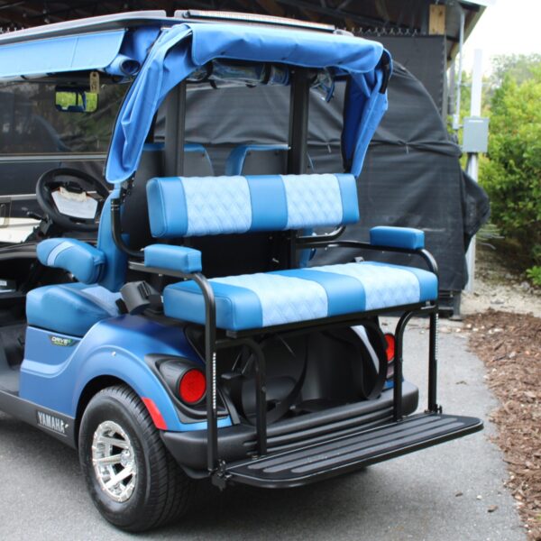 2024 Yamaha Drive2 - Image 2